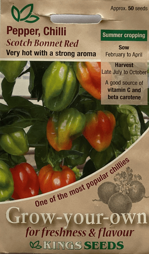 Pepper Chilli Scotch Bonnet Red