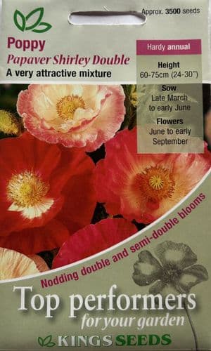 Poppy Papaver Shirley Double