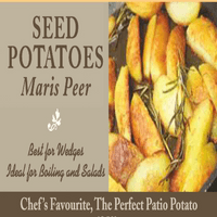 Potato Maris Peer - Second Early