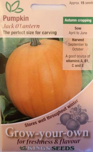 Pumpkin Jack O Lantern