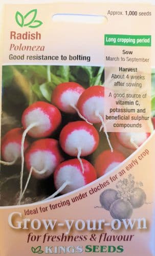 Radish Poloneza