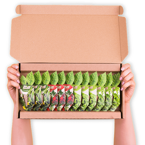 Seed Pod Gift Sets - The perfect post ready Gift!