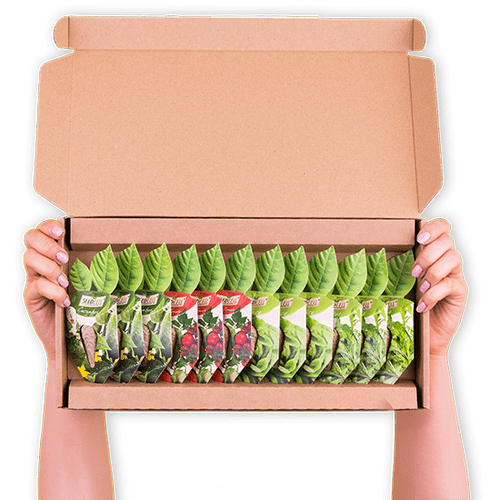 Seed Pod Gift Sets - The perfect post ready Gift!