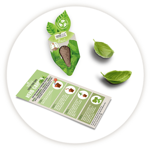 Seed Pod Singles - Choose from 12 Varieties!