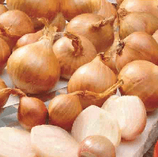 Shallot Golden Gourmet