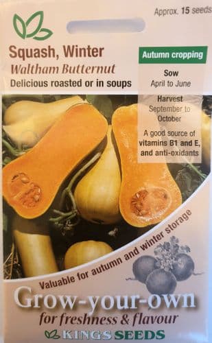 Squash Winter Waltham Butternut