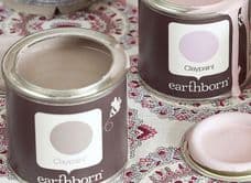 Earthborn Natural Paints