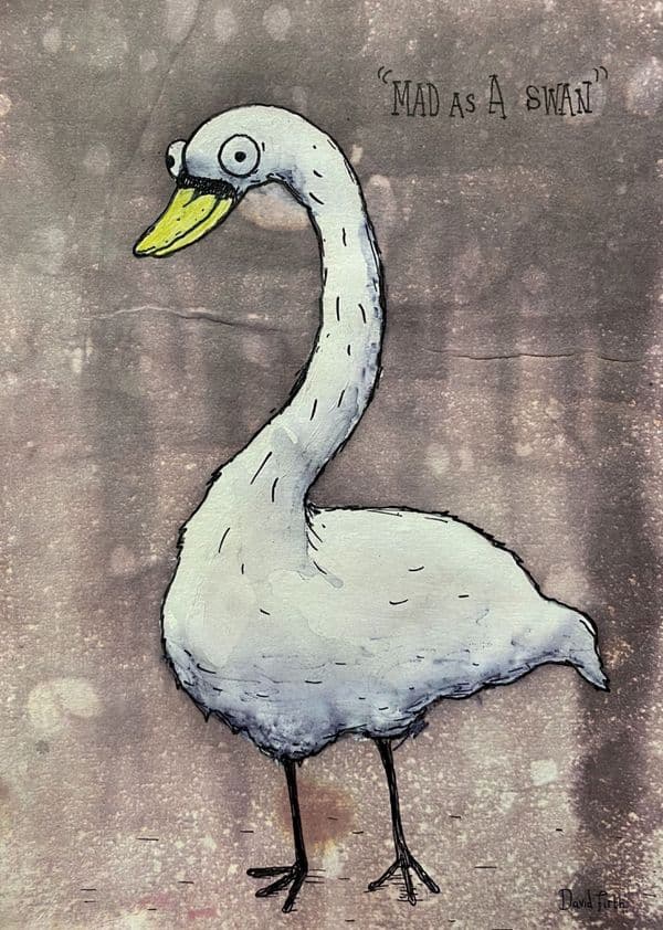 Mad As A Swan A4 Print