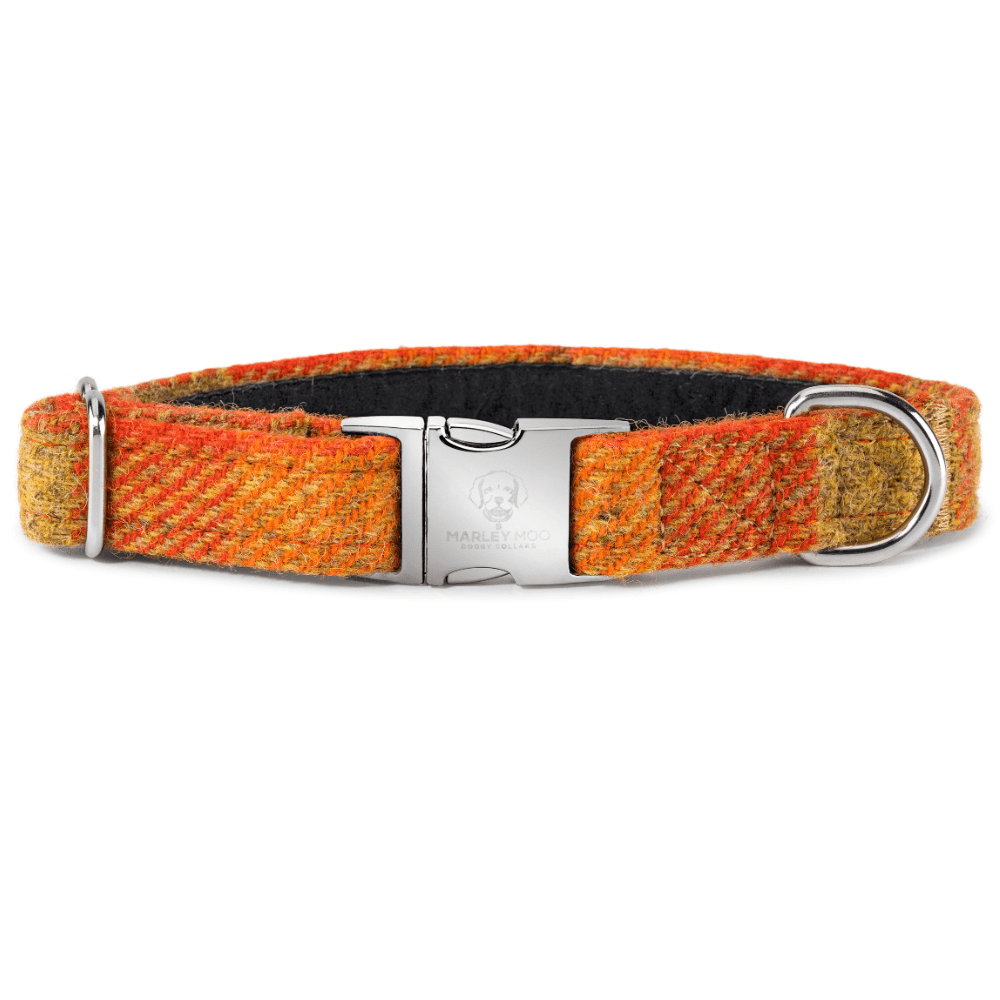 Harris tweed collar outlet
