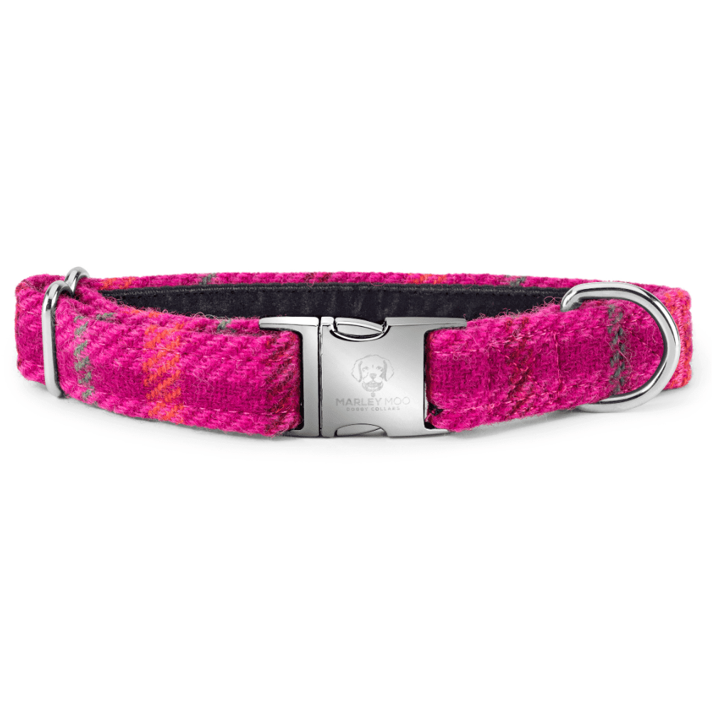The Fuschia Tweed Dog Collar