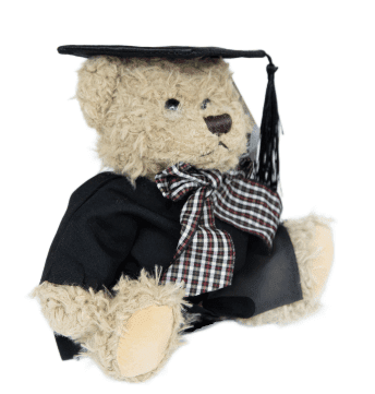 Graduation Bear