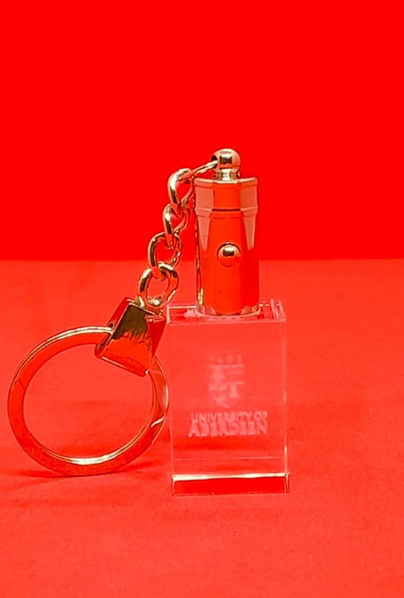 University Crystal 3D  Keyring
