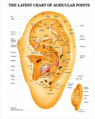 Ear Chart