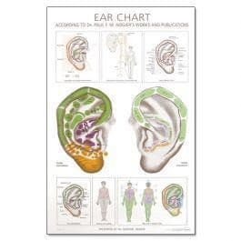 Ear Chart - P.Nogier