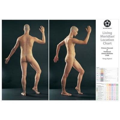 Living Meridian Charts