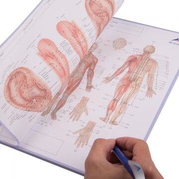 Patient Treatment Note Pad (Tear-Off)