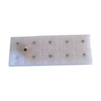 Pointz Vaccaria Ear  Acu Seeds - 100 pcs