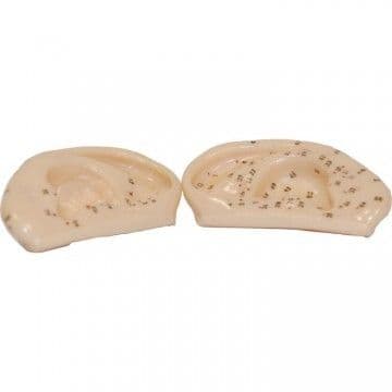 Two Small Human Ear Acupuncture Models - Left & Right
