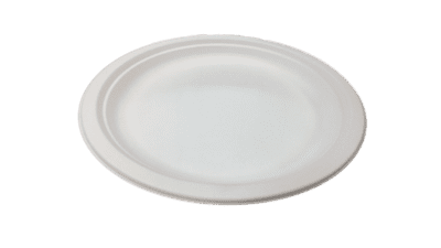 Bagasse Plates 9