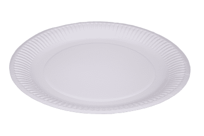White Paper Plates 9