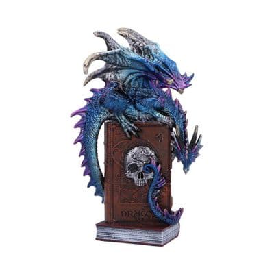 A Tale Of Dragons Skull Book Figurine