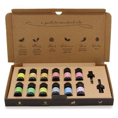 Aromatherapy Pure Essential Oil Starter Pack Set