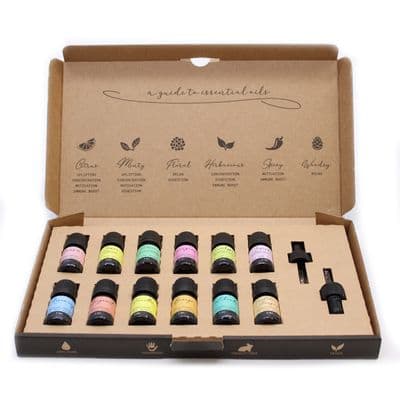 Aromatherapy Pure Essential Oil The Top 12 Set