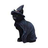 Bewitching Witch Black Cat Figurine | Nemesis Now Deal Kent