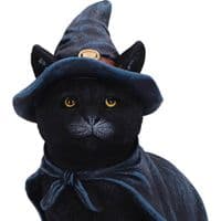 Bewitching Witch Black Cat Figurine | Nemesis Now Deal Kent