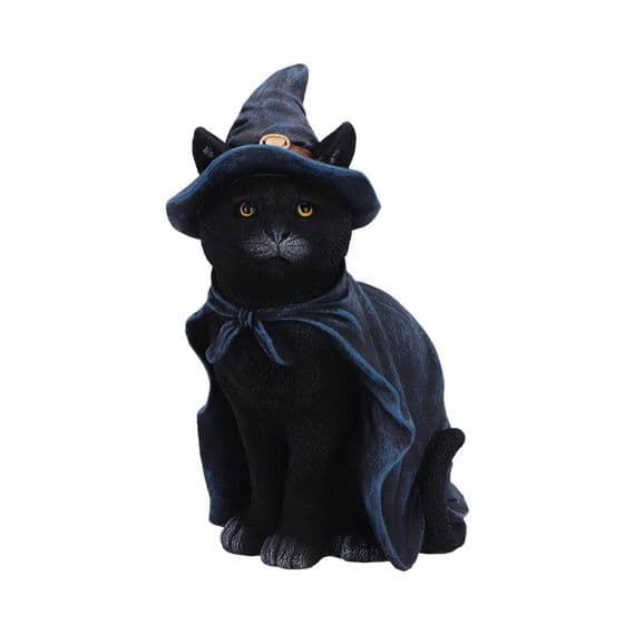 Bewitching Witch Black Cat Figurine | Nemesis Now Deal Kent