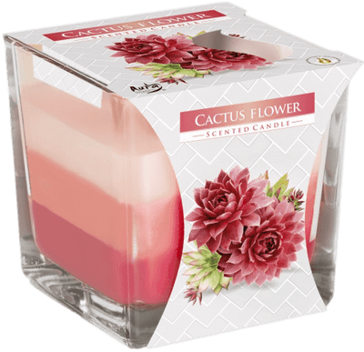 Cactus Flower Rainbow Square Glass Jar Candle