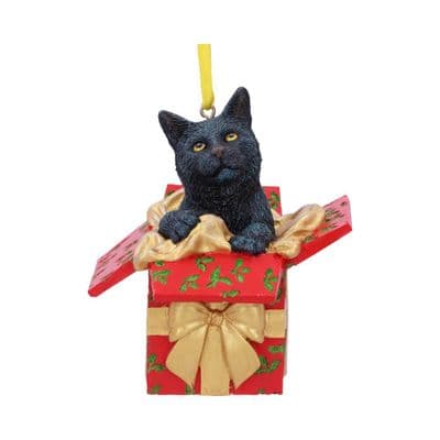 Christmas Present Cat Hanging Ornament