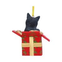 Christmas Present Cat Hanging Ornament