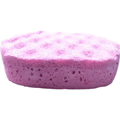 Coconut Fragranced Soap Sponge