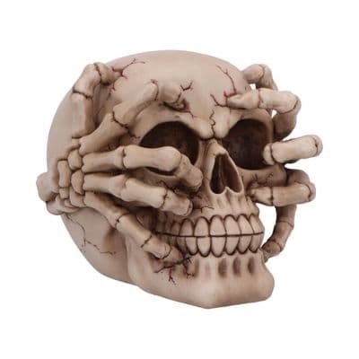 Cracked Hidden Terrors Bone Coloured Skull