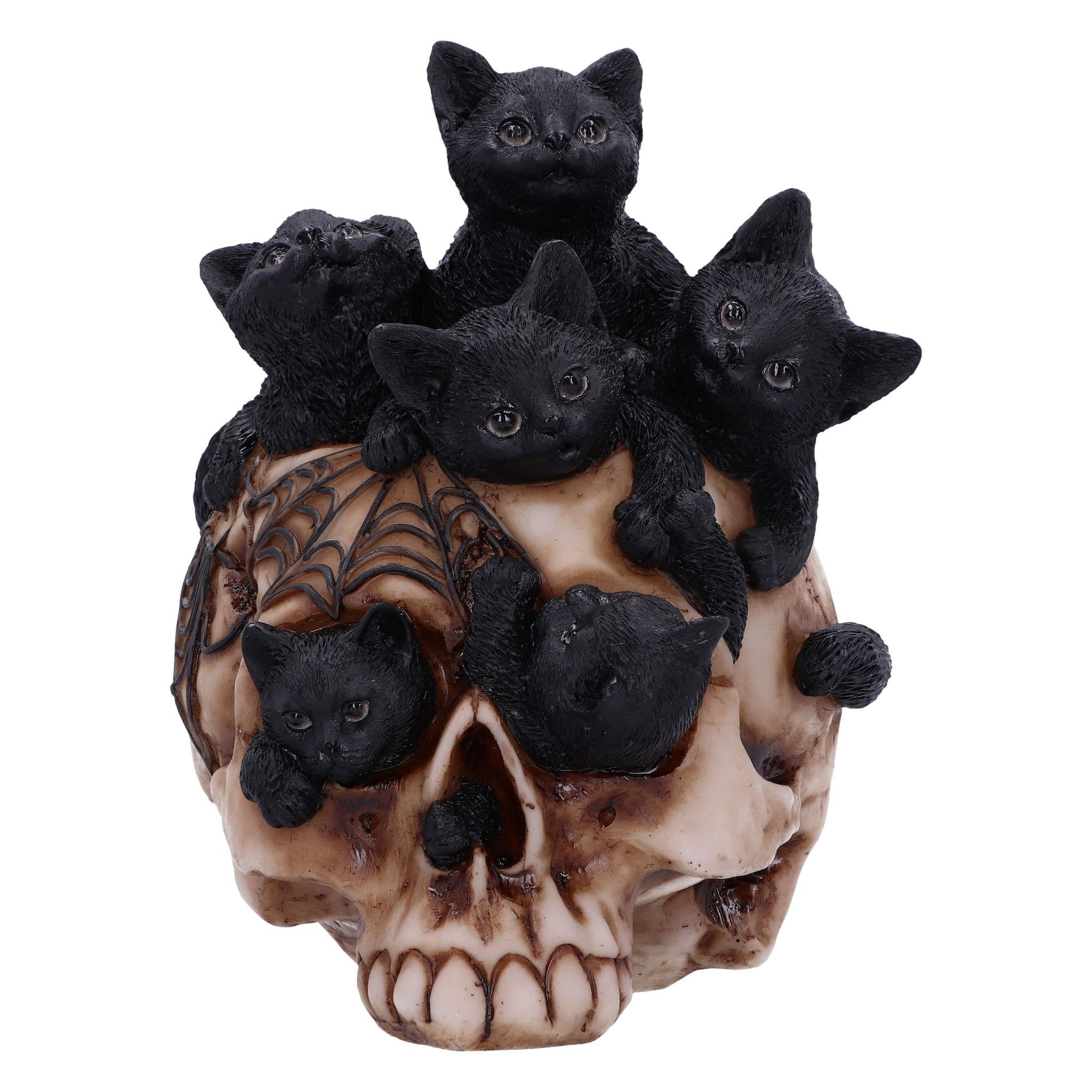 Forever Friend Black Cat Skull Head 14.5cm main image 1