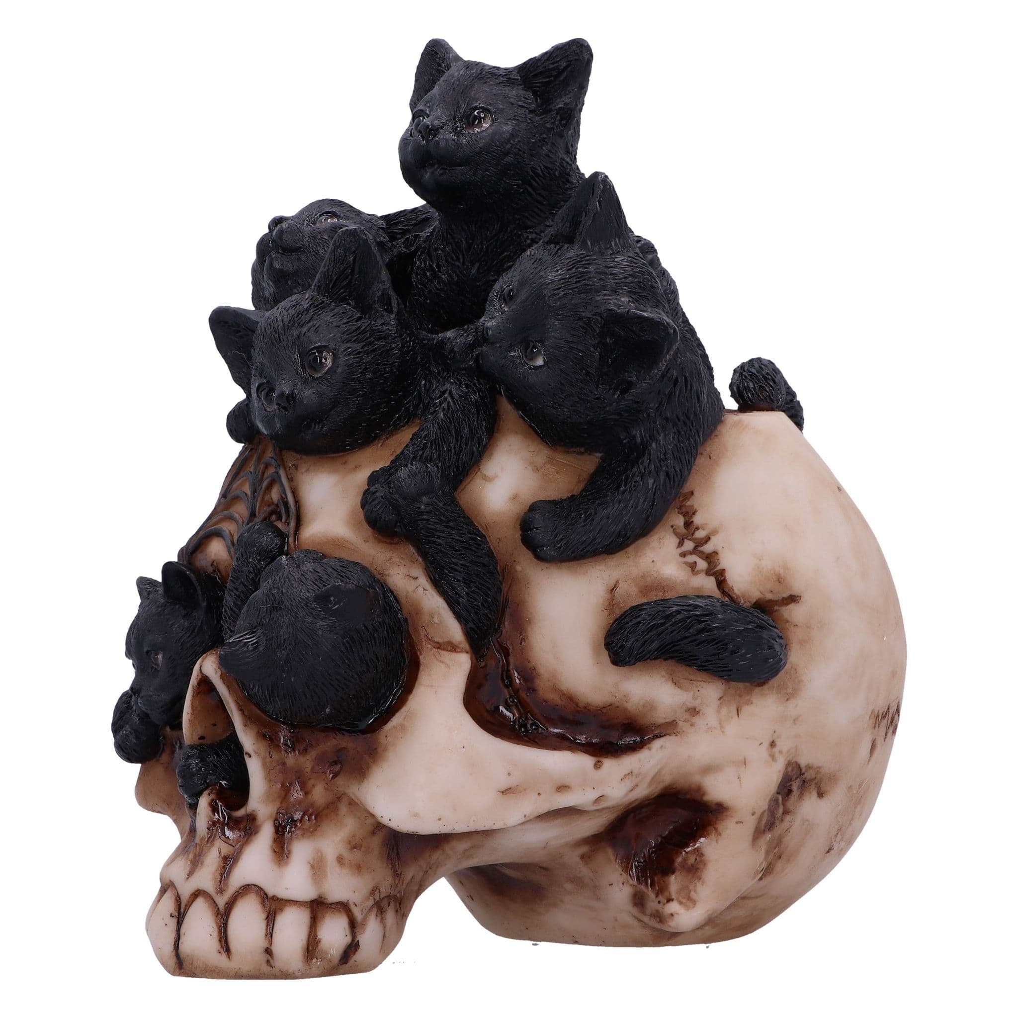 Forever Friend Black Cat Skull Head 14.5cm
