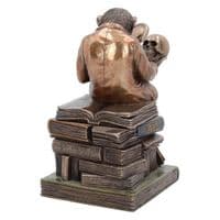 Darwin Theory Of Evolution Chimpanzee Monkey Scholar Ornament | BonneBombe | Nemesis Now