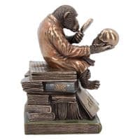 Darwin Theory Of Evolution Chimpanzee Monkey Scholar Ornament | BonneBombe | Nemesis Now