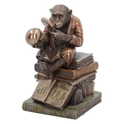 Darwin Theory Of Evolution Chimpanzee Sculpture