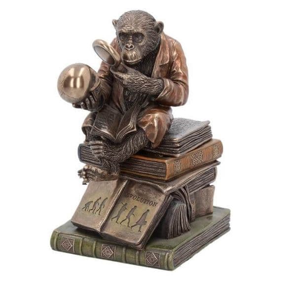 Darwin Theory Of Evolution Chimpanzee Monkey Scholar Ornament | BonneBombe | Nemesis Now