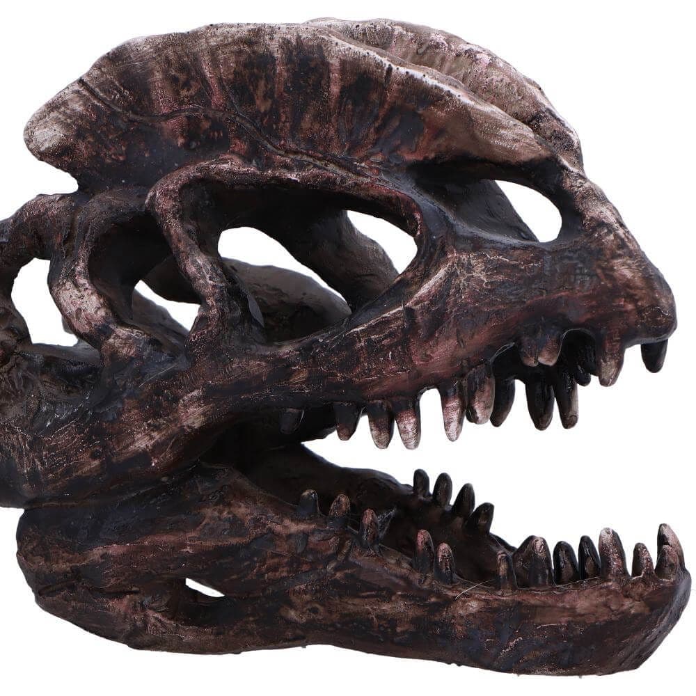 Dilophosaurus Two Crested Lizard Dinosaur Skull | Nemesis Now Skull ...