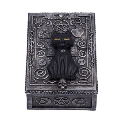 Familiar Witches Black Cat Spell Trinket Box