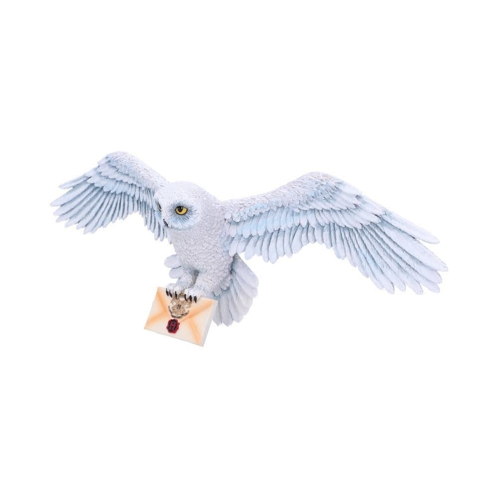Nemesis Now - Harry Potter Hedwig Wall Plaque - Macabre Gifts