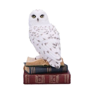 Library Of Wisdom Snowy White Owl Figurine