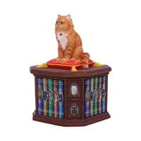 Mad About Cats Trinket Box | Nemesis Now Ornaments Deal Kent UK