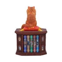 Mad About Cats Trinket Box | Nemesis Now Ornaments Deal Kent UK
