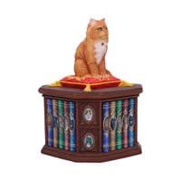 Mad About Cats Trinket Box | Nemesis Now Ornaments Deal Kent UK