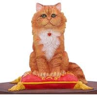 Mad About Cats Trinket Box | Nemesis Now Ornaments Deal Kent UK