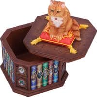 Mad About Cats Trinket Box | Nemesis Now Ornaments Deal Kent UK